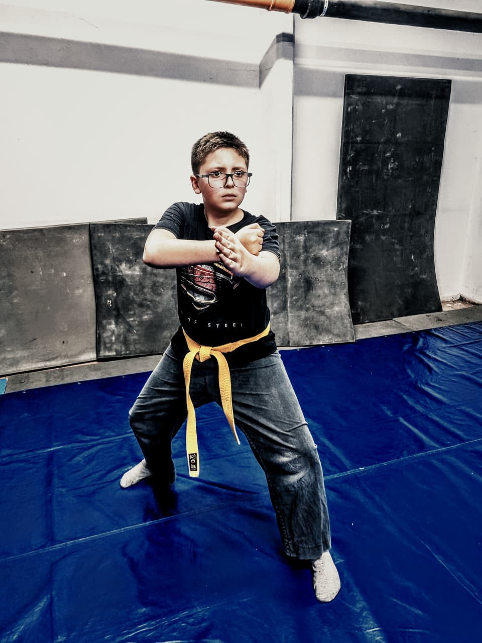 Sala Principal del Dojo